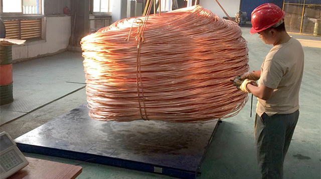 2020 (12).jpg 2020 (12).jpg