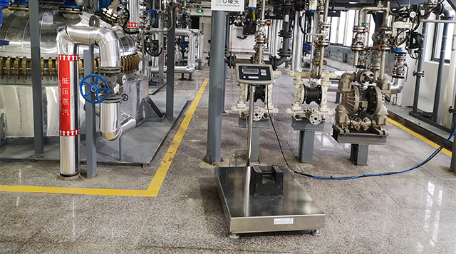 2020 (23).jpg 2020 (23).jpg